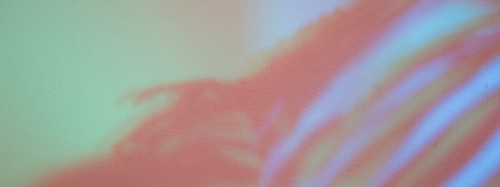 Case Study Image